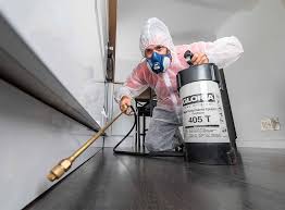 Best Fumigation Services  in Brighton, AL